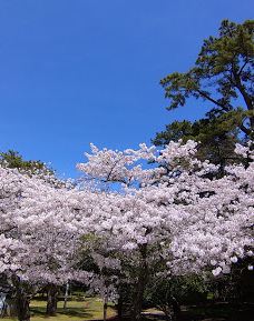Ariake-hama Beach-观音寺市