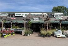 Murray Bros Nurseries and Garden Center购物图片