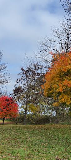 Drummond Apex Lookout-阿米代尔