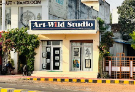 Art Wild Studio购物图片