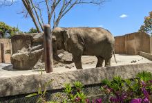 Kamine Zoo景点图片