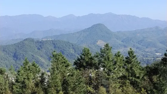 世外桃源森林公園