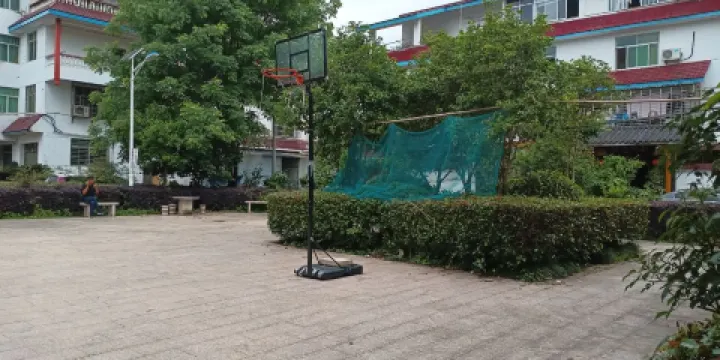 茶場新區移民休閑公園