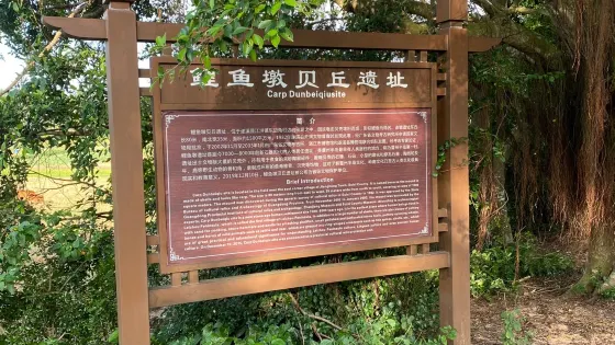 鯉魚墩貝丘遺址