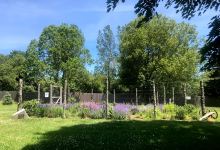 EAST HAMPTON HISTORICAL FARM MUSEUM景点图片