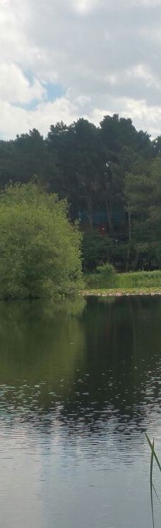 Parc des Gayeulles-雷恩