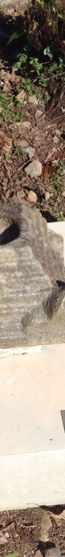 Kumano Kodo Kan Pilgrimage Center-田边市