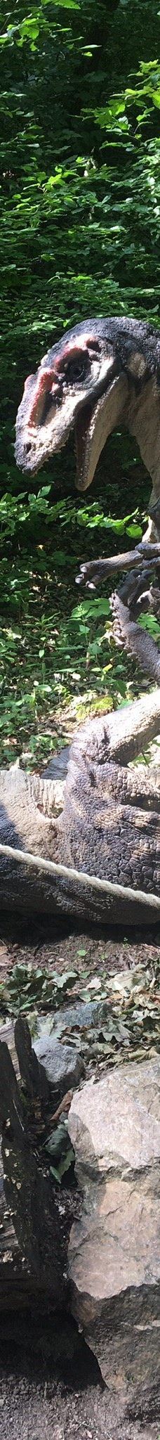 Zoo Kosice-科希策1区