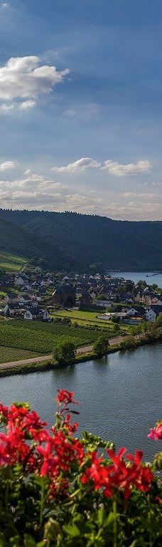 Metternich Castle-拜尔施泰因