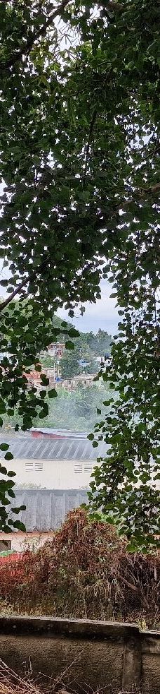 海明威故居-哈瓦那