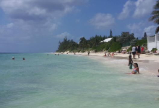 Grand Bahama Wall景点图片