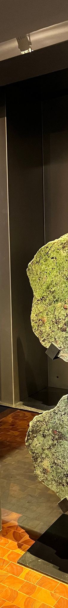 特罗姆瑟大学博物馆-特罗姆瑟