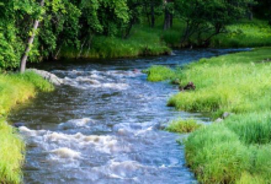 Grace Coolidge Creek景点图片