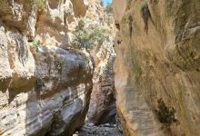 Avakas Gorge Nature Trail景点图片