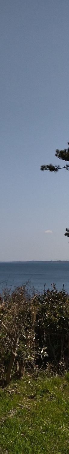 尼御前岬-加贺市