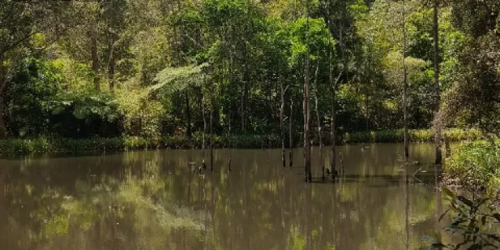 Maroochy Regional Bushland Botanic Garden