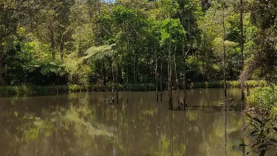 Maroochy Regional Bushland Botanic Garden