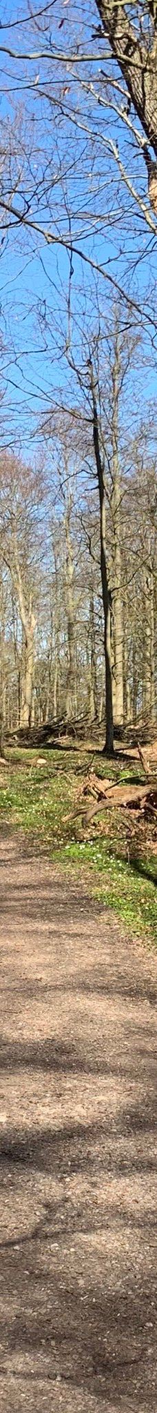 Naturbornholm-阿克尔科拜