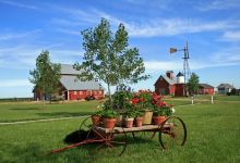 Wessels Living History Farm景点图片