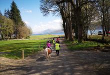 Argyll Adventure景点图片