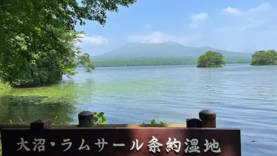 大沼