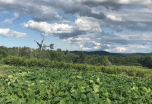 Sunset Farm景点图片