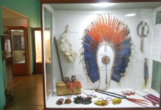 Museum of Indigenous Amazonian Cultures景点图片