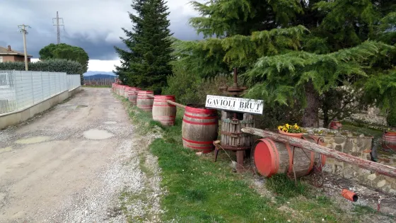 Cantine Gavioli