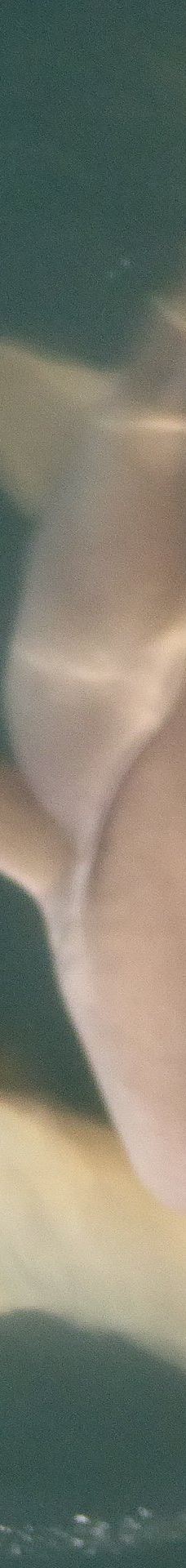 Mitchell River National Park-库努纳拉