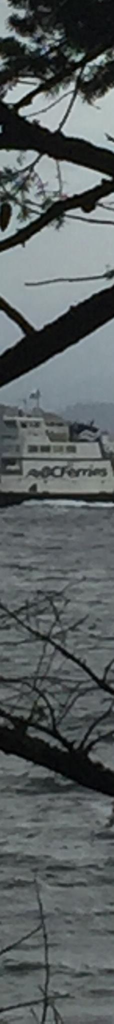 Rebecca Spit Marine Provincial Park-奎德拉岛