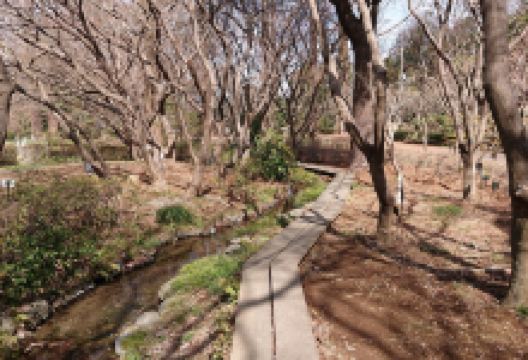 Fukaya Green Kingdom景点图片