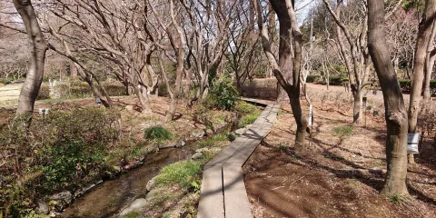 Fukaya Green Kingdom