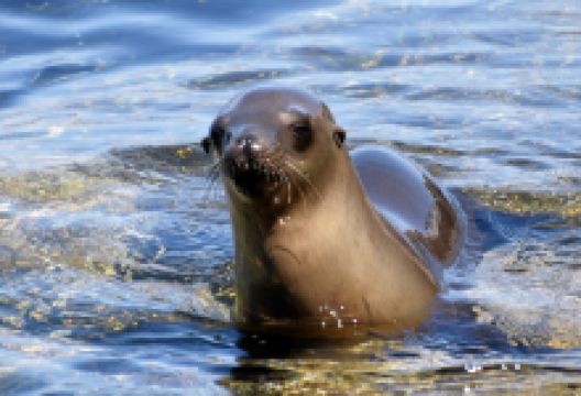 Breakwater景点图片