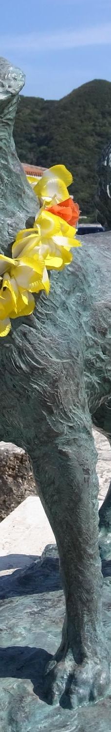 忠实的狗白 哀悼纪念碑-座间味村