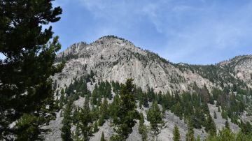 Madison River