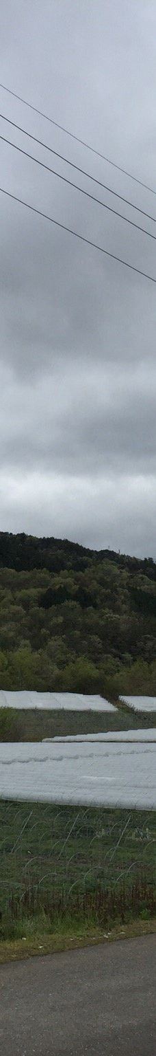 Domaine Tetta-新见市