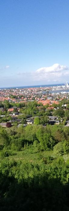 Pikkerbakken-腓特烈港