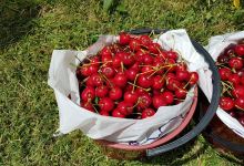 Lanidale 'The Cherry Well'景点图片