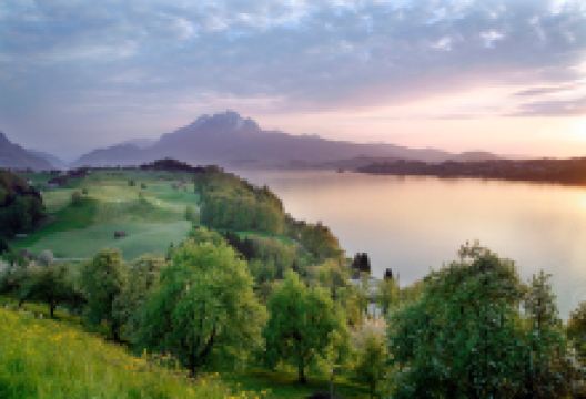 Haldihof购物图片