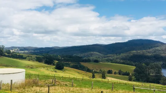 Little Charli's Lookout