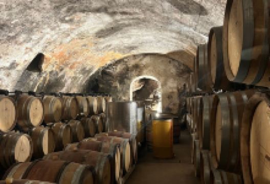Wine and Ride Condrieu - visite des caves à vélo景点图片