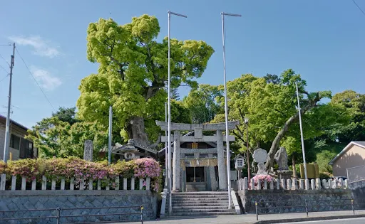 八阪神社