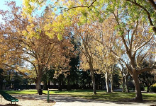 McKenzie Park景点图片