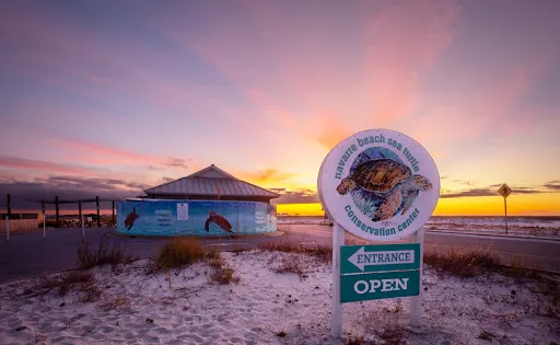 Navarre Beach Sea Turtle Conservation Center