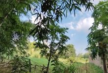 Nature, Durgapur SLN景点图片