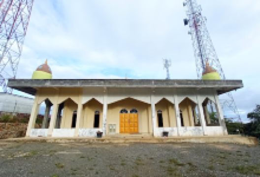 Sehati Mosque景点图片