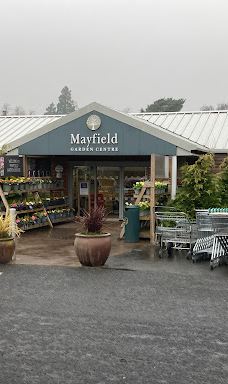 Mayfield Garden Centre-凯尔索