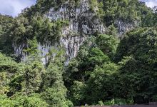 鹿洞景点图片