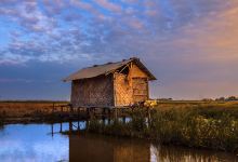 Hutan Mangrove Muara Blacan景点图片
