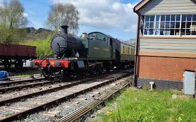 Totnes Rare Breeds Farm